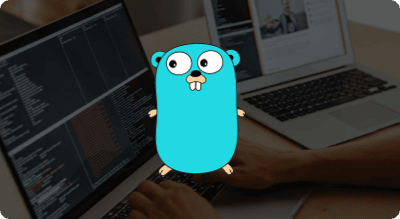 Hire GoLang Developers